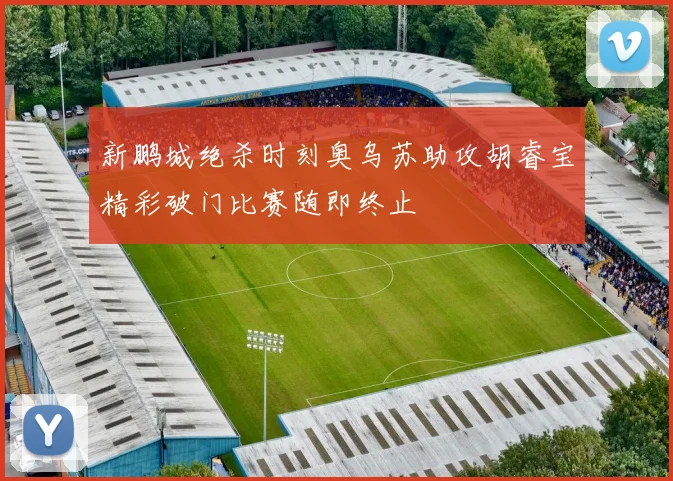 新鹏城绝杀时刻奥乌苏助攻胡睿宝精彩破门比赛随即终止